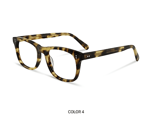 Broadway Light Tortoise