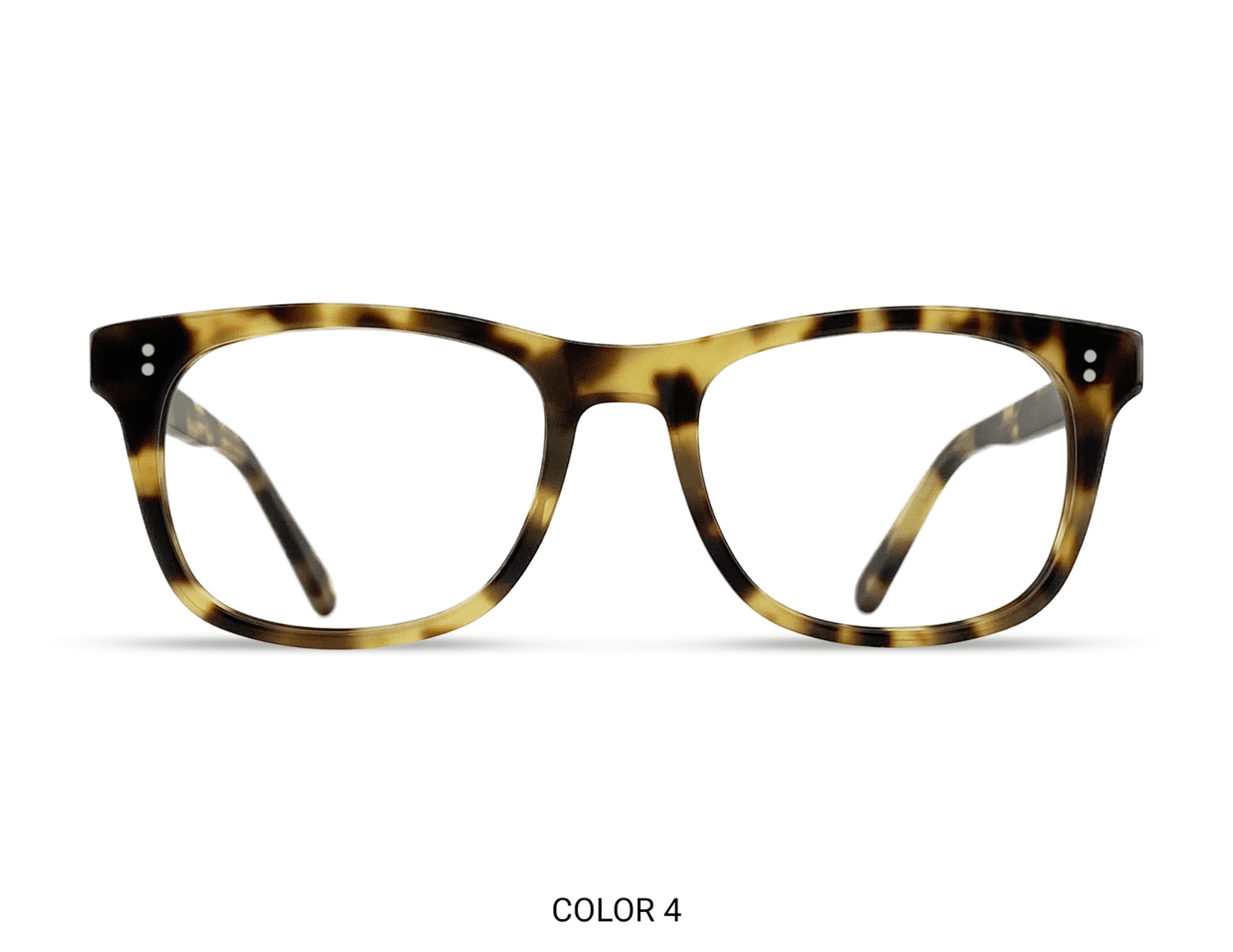 Broadway Light Tortoise