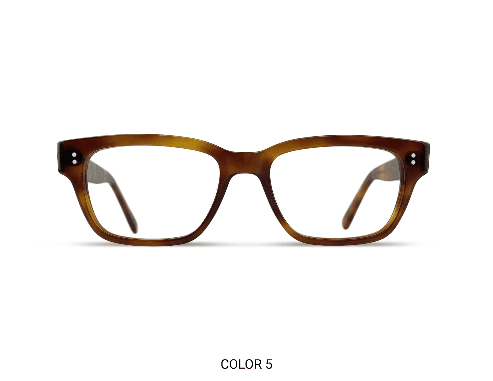 Sylvan Park Tortoise